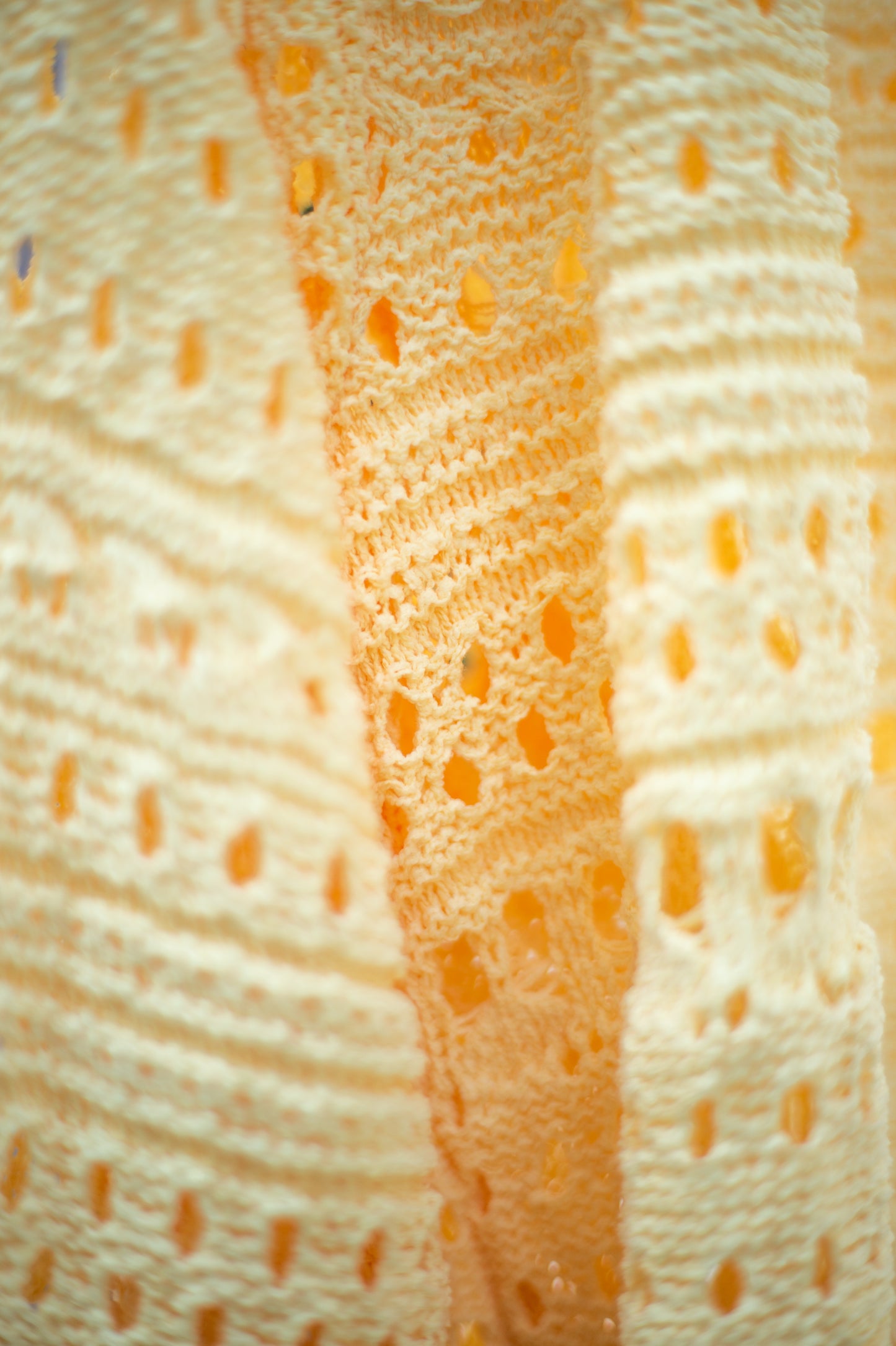 The Dandelion Dream Knit Cardigan